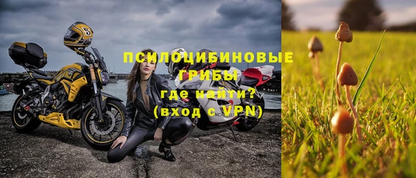 соль ск Алзамай