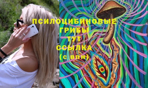 не бодяженный Алексин