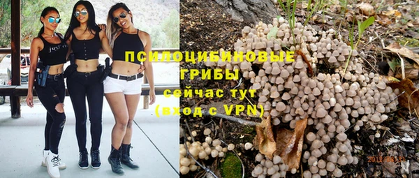 тгк Алексеевка