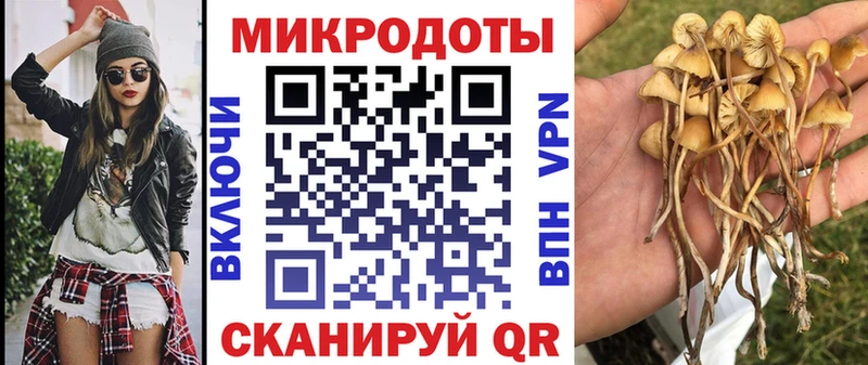 даркнет сайт  Дудинка  Псилоцибиновые грибы Magic Shrooms 